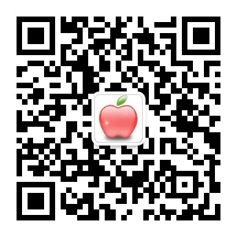 杠杆公司