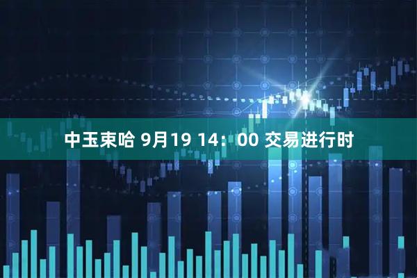 中玉束哈 9月19 14：00 交易进行时