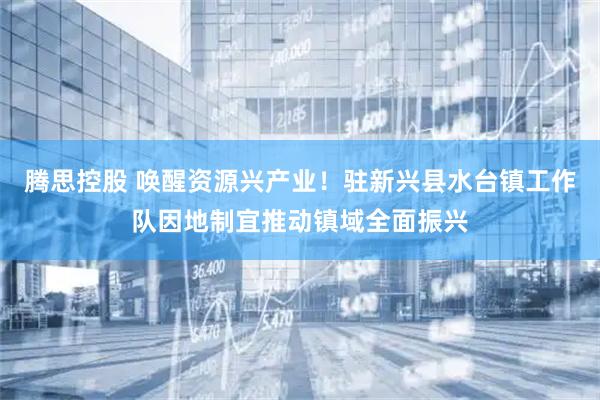 腾思控股 唤醒资源兴产业！驻新兴县水台镇工作队因地制宜推动镇域全面振兴
