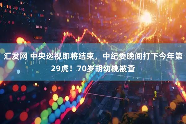 汇发网 中央巡视即将结束，中纪委晚间打下今年第29虎！70岁胡幼桃被查