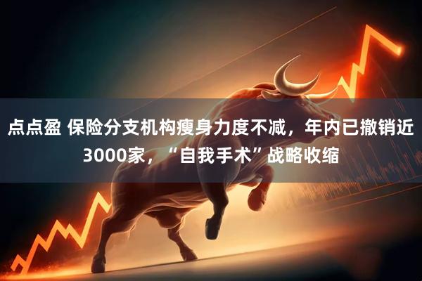 点点盈 保险分支机构瘦身力度不减，年内已撤销近3000家，“自我手术”战略收缩