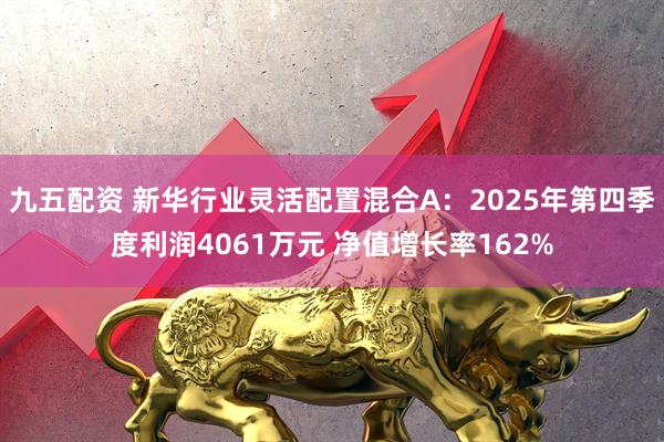 九五配资 新华行业灵活配置混合A：2025年第四季度利润4061万元 净值增长率162%