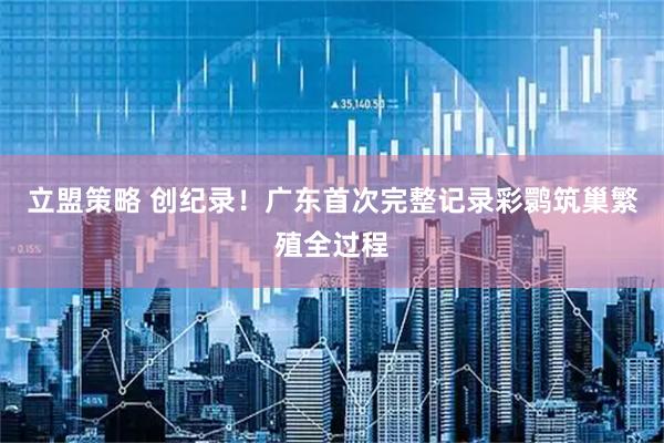 立盟策略 创纪录！广东首次完整记录彩鹮筑巢繁殖全过程